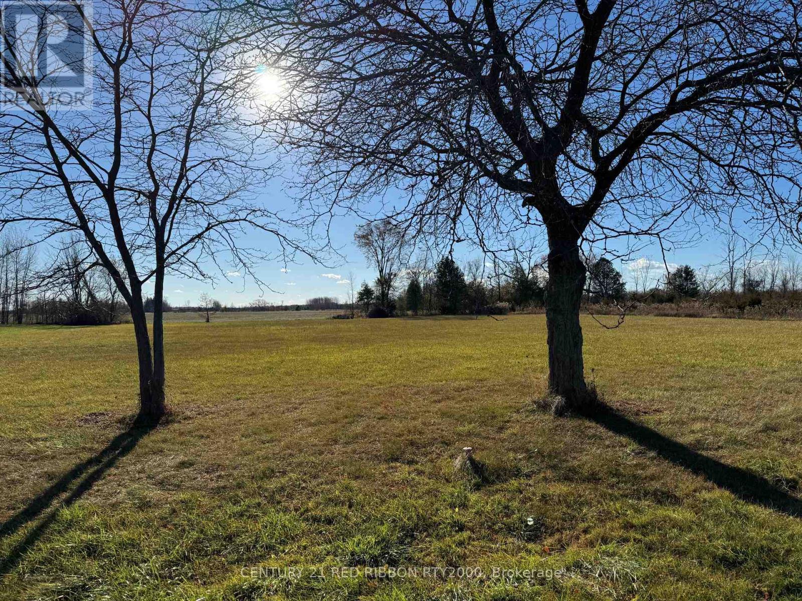 8603 Vance Drive, Lambton Shores (Forest), ON