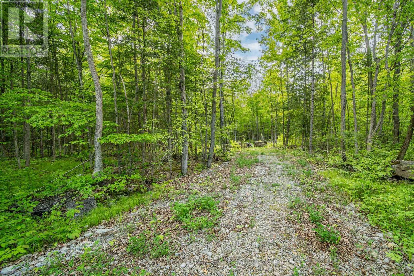 41 Stonehedge Road, Stone Mills (Stone Mills), ON