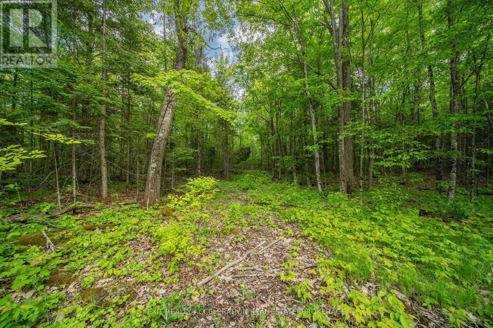 41 Stonehedge Road, Stone Mills (Stone Mills), ON