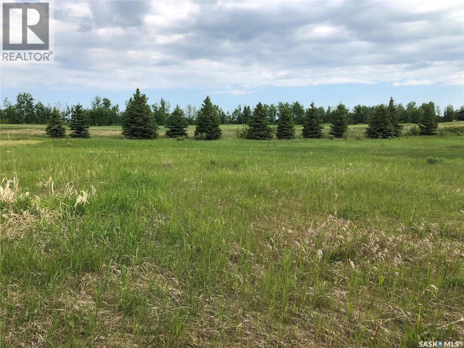 19 Northern Meadows Way, Goodsoil, SK