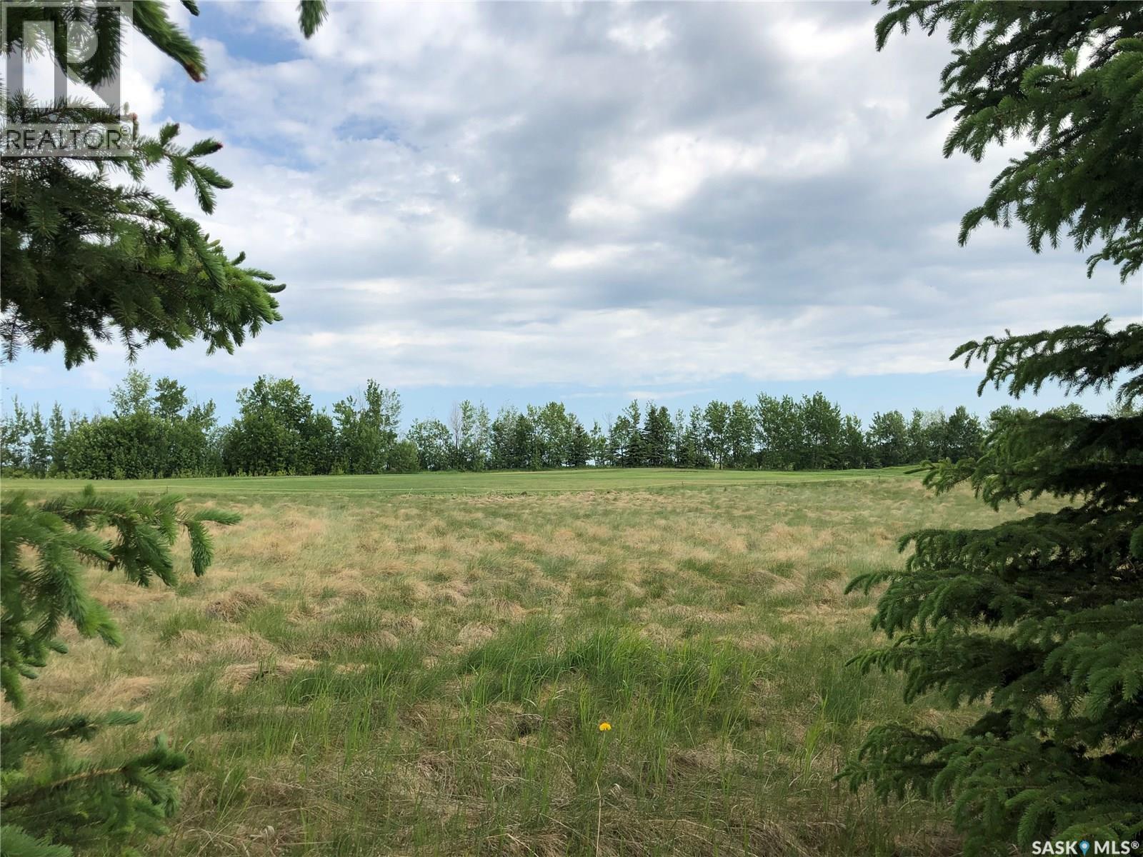 19 Northern Meadows Way, Goodsoil, SK