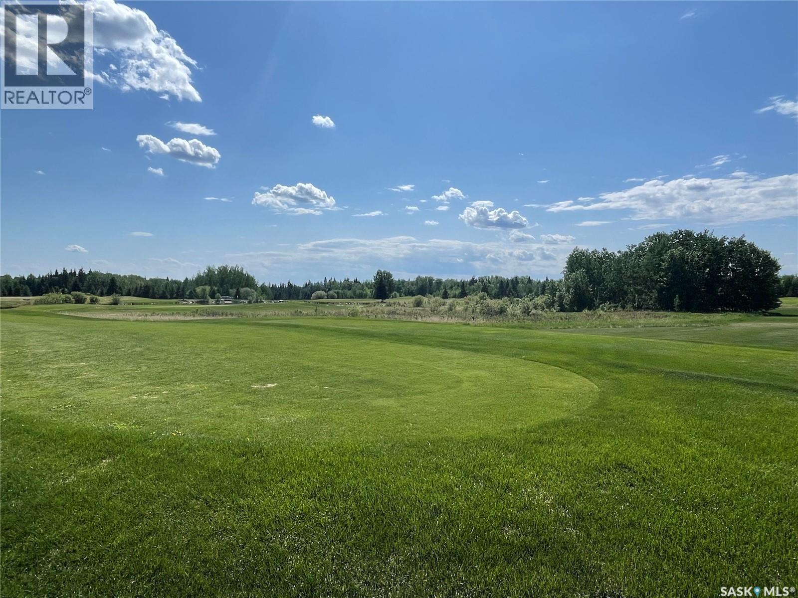 4 Northern Meadows Way, Goodsoil, SK