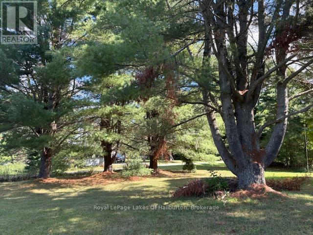 1080 St. Peter'S Road, Algonquin Highlands (Stanhope), ON - Outdoor With View