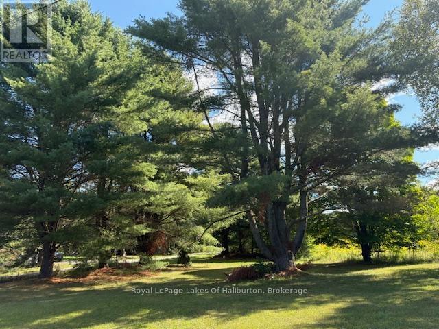 1080 St. Peter'S Road, Algonquin Highlands (Stanhope), ON - Outdoor With View