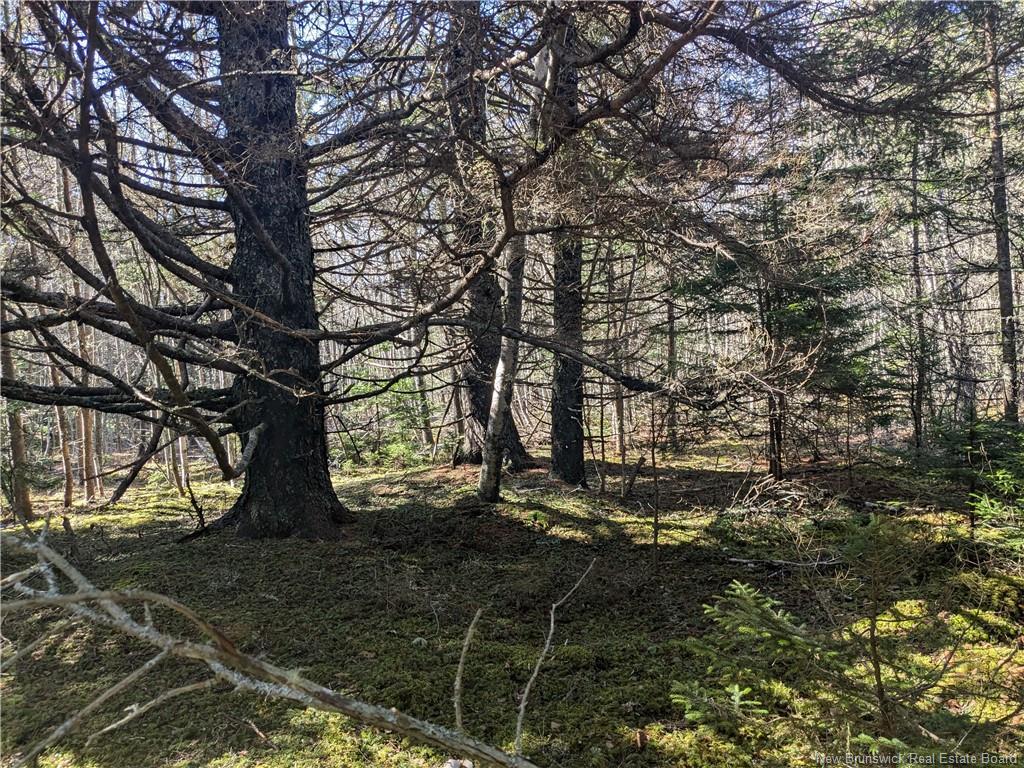 Lot Circle Dr, Welshpool, NB