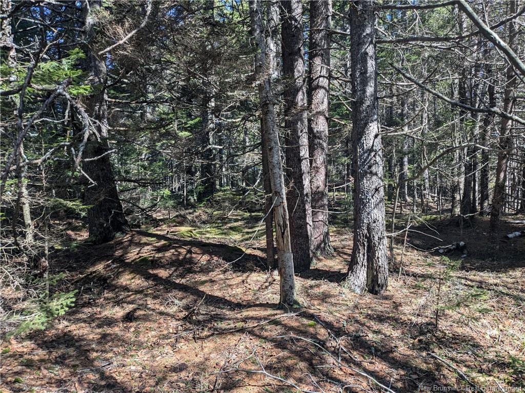 Lot Circle Dr, Welshpool, NB