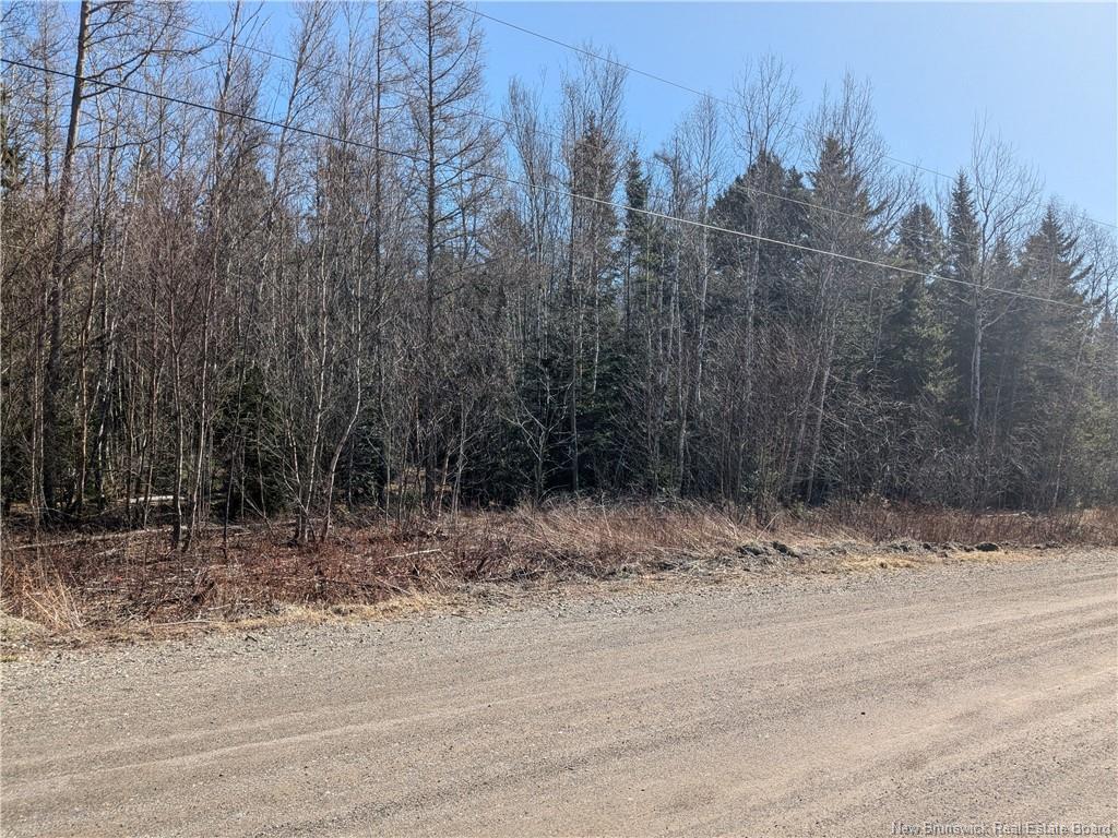 Lot Circle Dr, Welshpool, NB