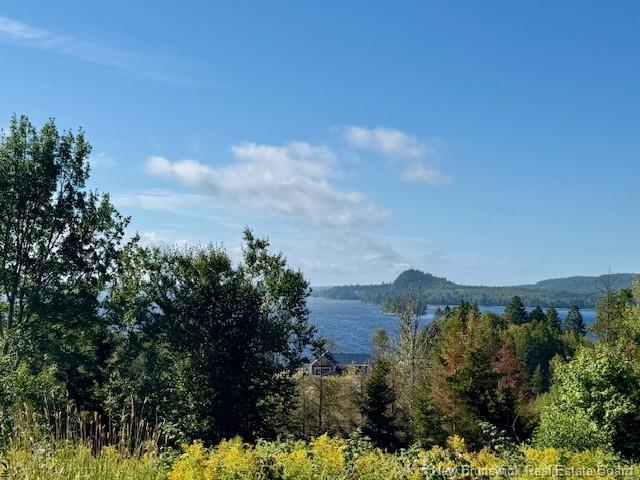 1191 137 Route 785, Utopia, NB