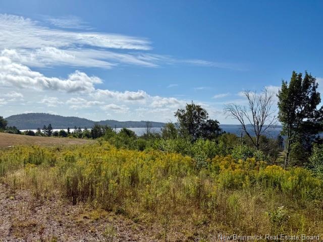 1191 137 Route 785, Utopia, NB