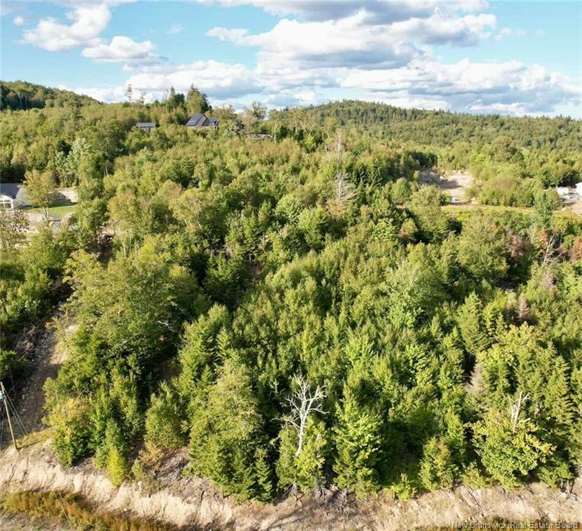 1191 137 Route 785, Utopia, NB