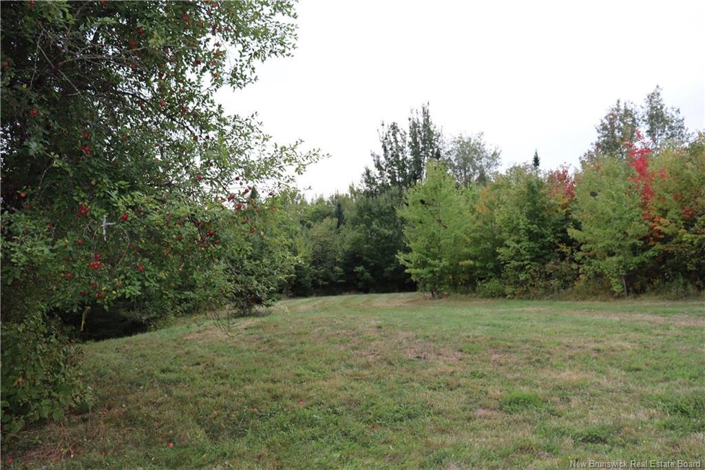 11314 10 Rte, Coles Island, NB