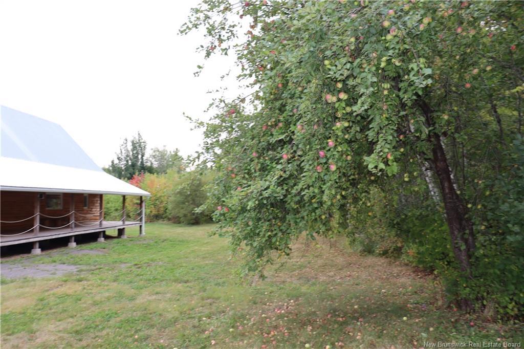 11314 10 Rte, Coles Island, NB