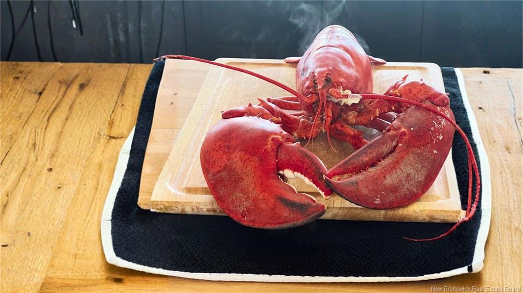 868 Fundy Dr, Wilsons Beach, NB