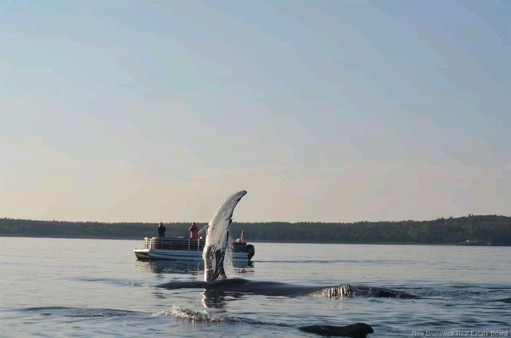 868 Fundy Dr, Wilsons Beach, NB