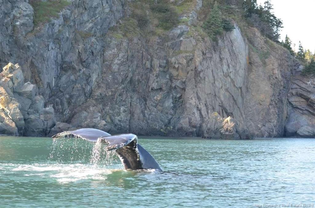 868 Fundy Dr, Wilsons Beach, NB