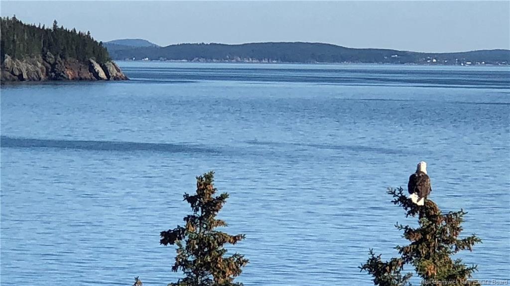 868 Fundy Dr, Wilsons Beach, NB