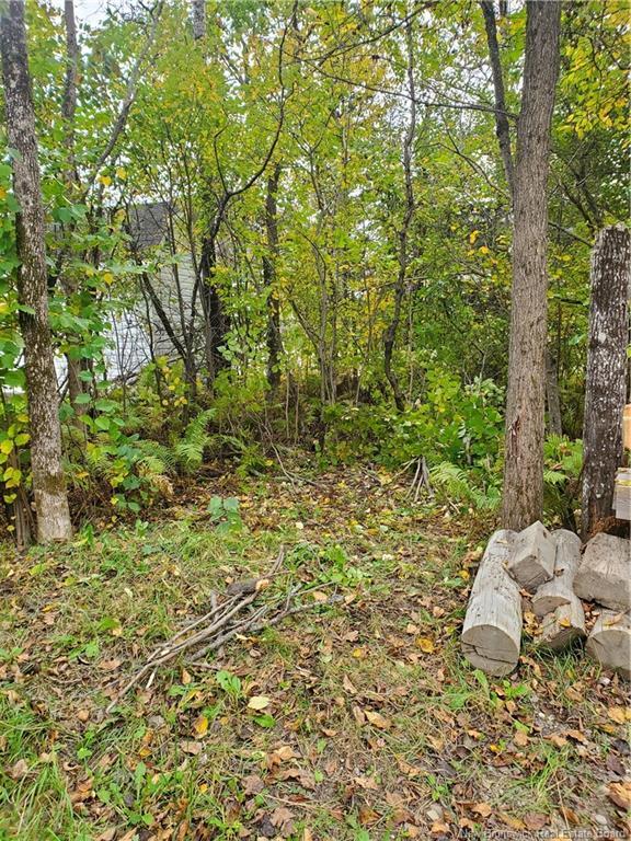 51 Ouellette Lane, New Denmark, NB