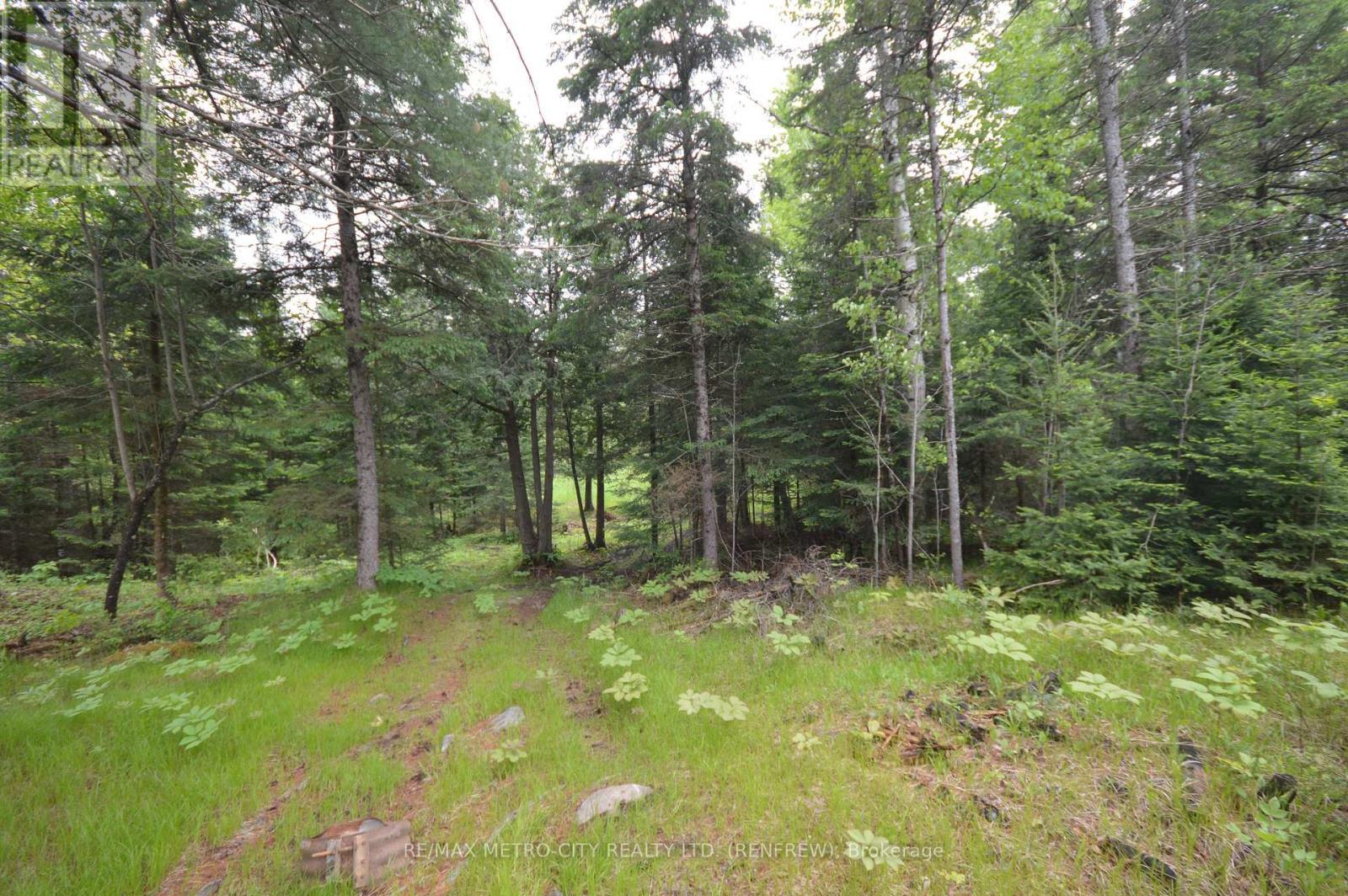 6340 Murphy Road, Greater Madawaska, ON - Outdoor With View
