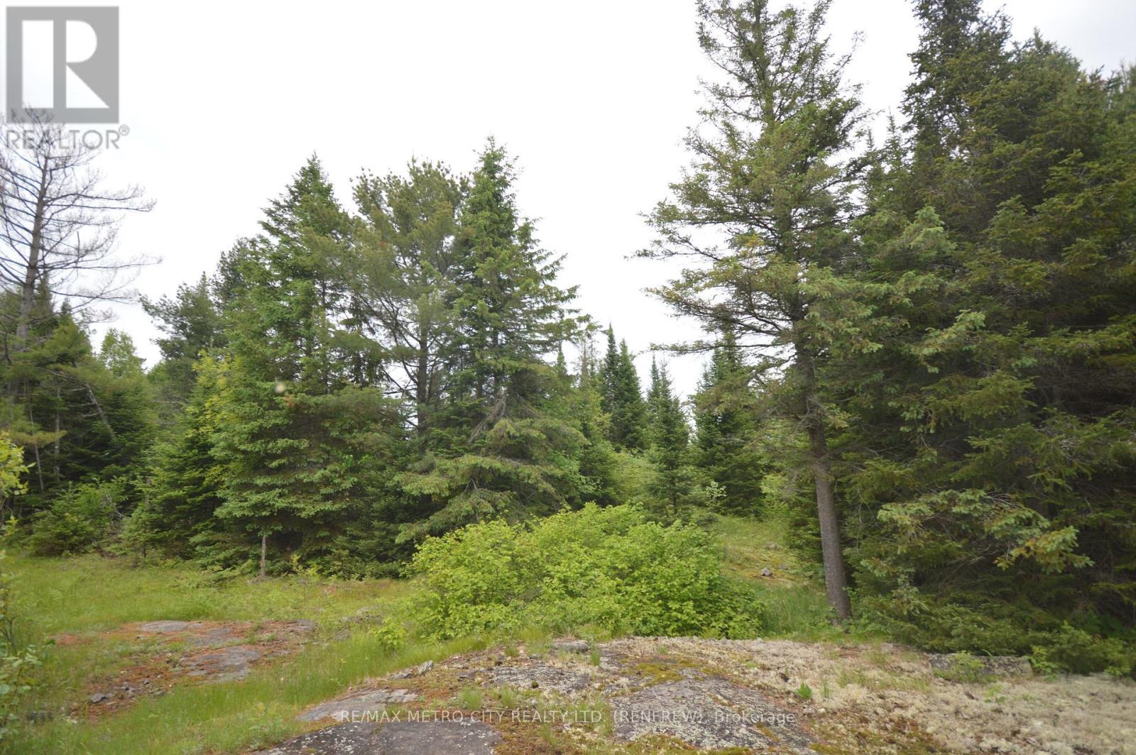 6340 Murphy Road, Greater Madawaska, ON - Outdoor With View