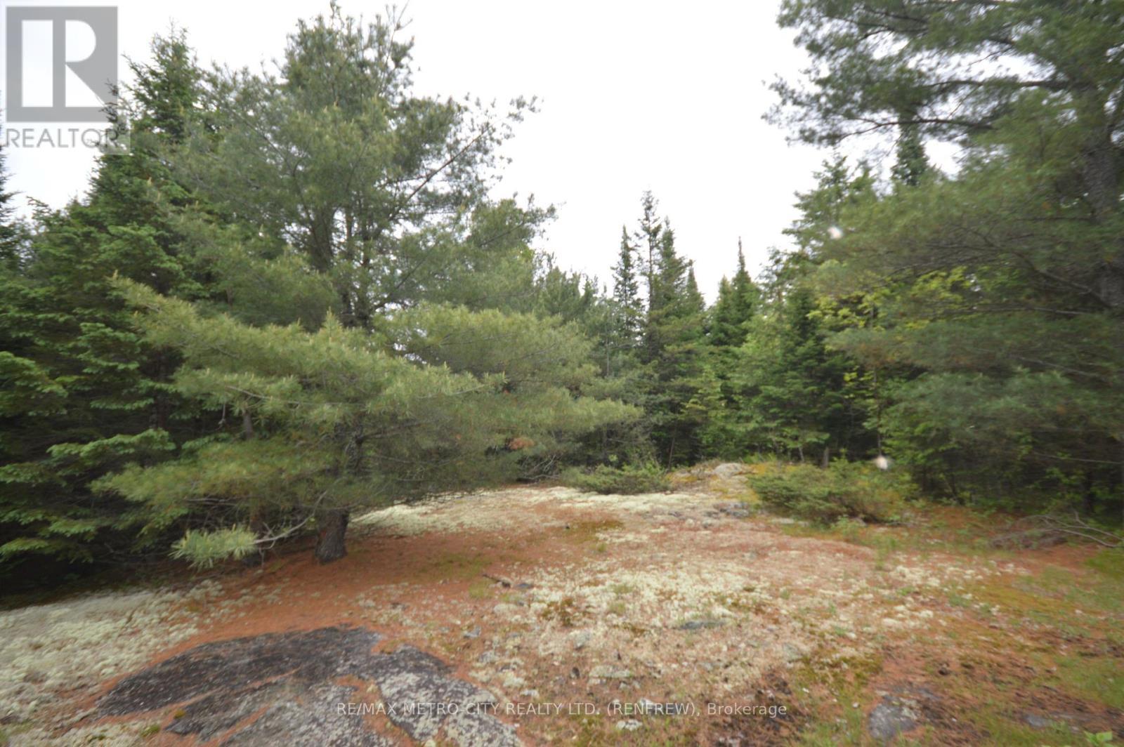 6340 Murphy Road, Greater Madawaska, ON - Outdoor