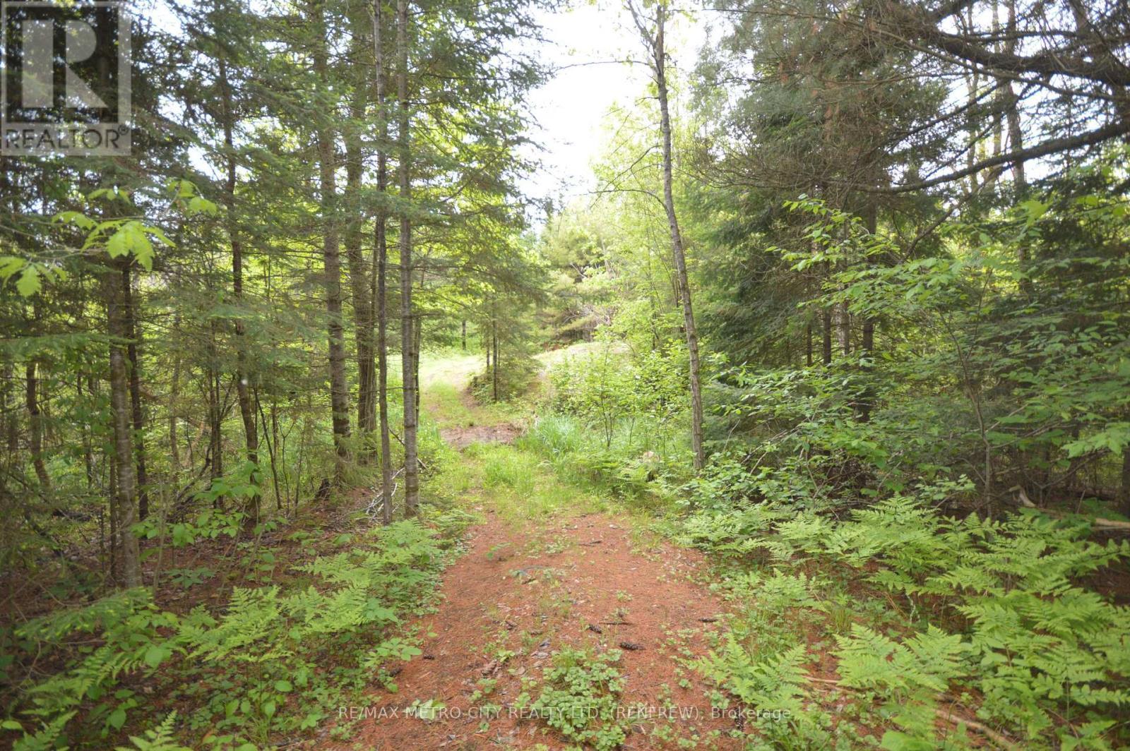 6340 Murphy Road, Greater Madawaska, ON - Outdoor