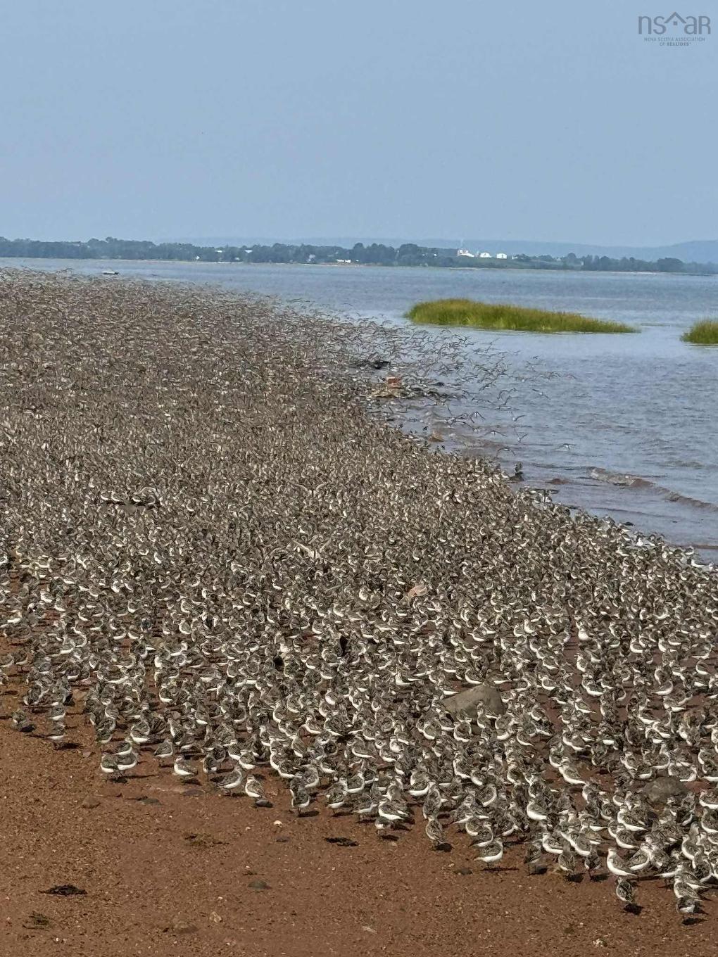 158 Plover Lane, North Grand Pre, NS