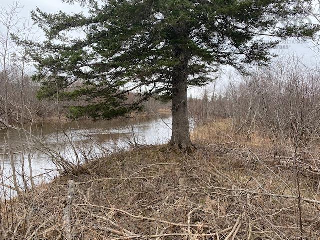 Barren Road, River Denys, NS