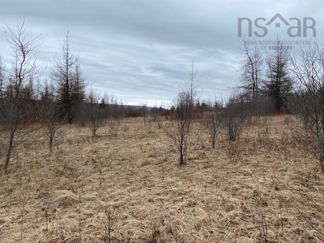Barren Road, River Denys, NS
