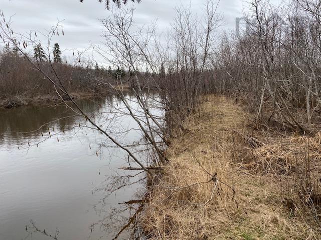 Barren Road, River Denys, NS