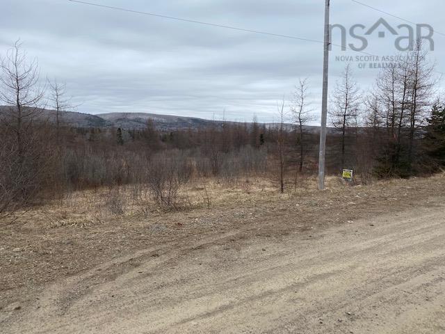 Barren Road, River Denys, NS