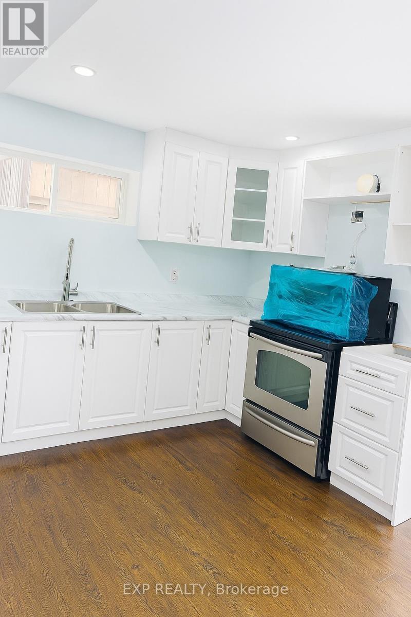 Lower - 960 Bianca Court, Kitchener, ON - Indoor Photo Showing Kitchen With Double Sink