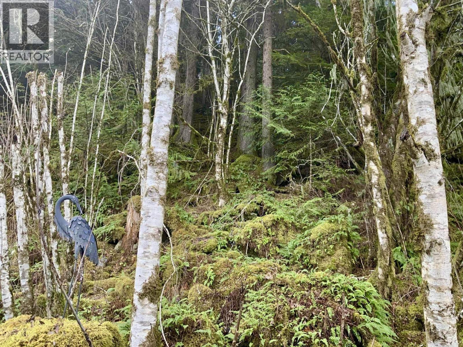 259 20 Mackenzie Highway, Hagensborg, BC - Outdoor With View