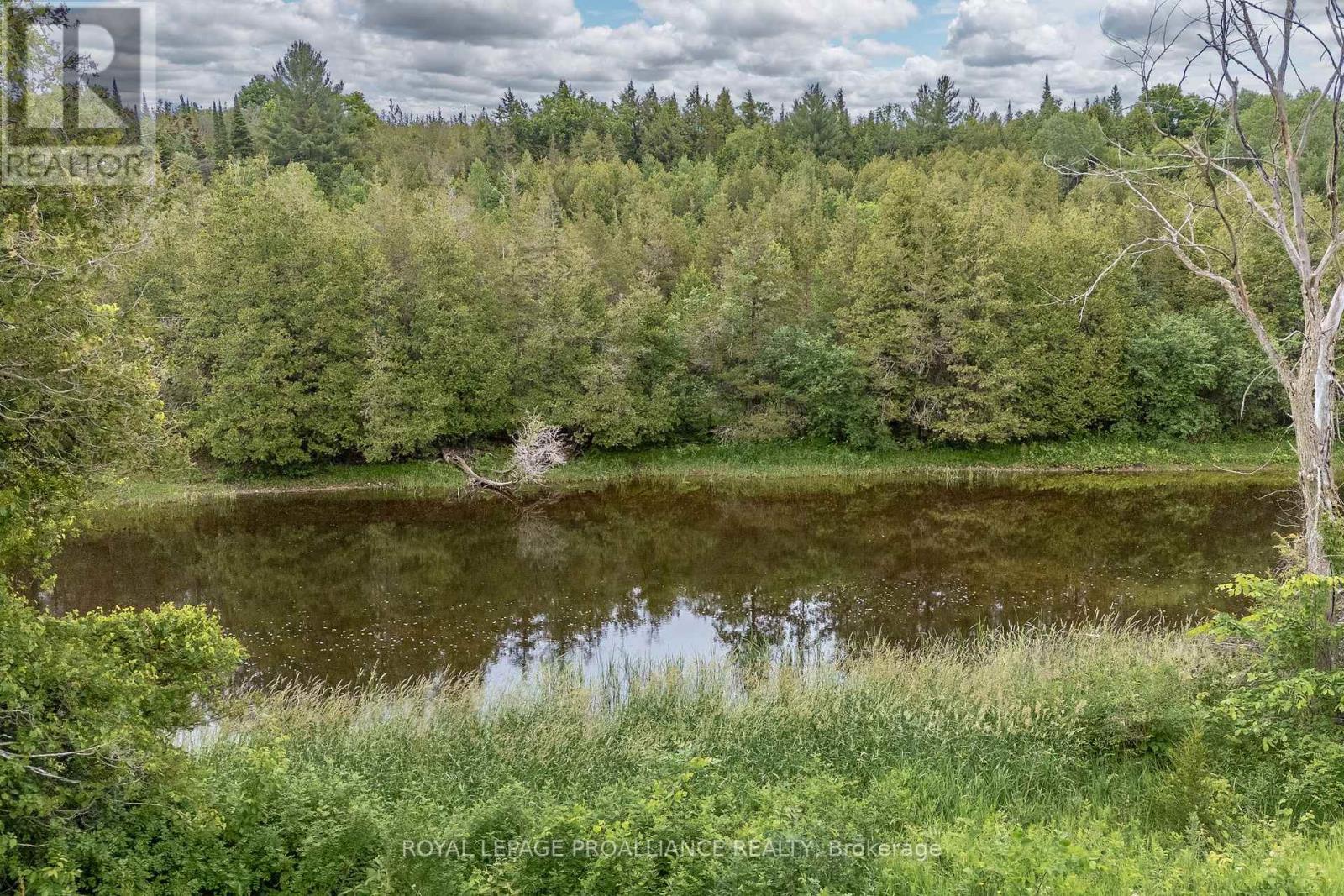 5035 Blessington Road, Tyendinaga (Tyendinaga Township), ON