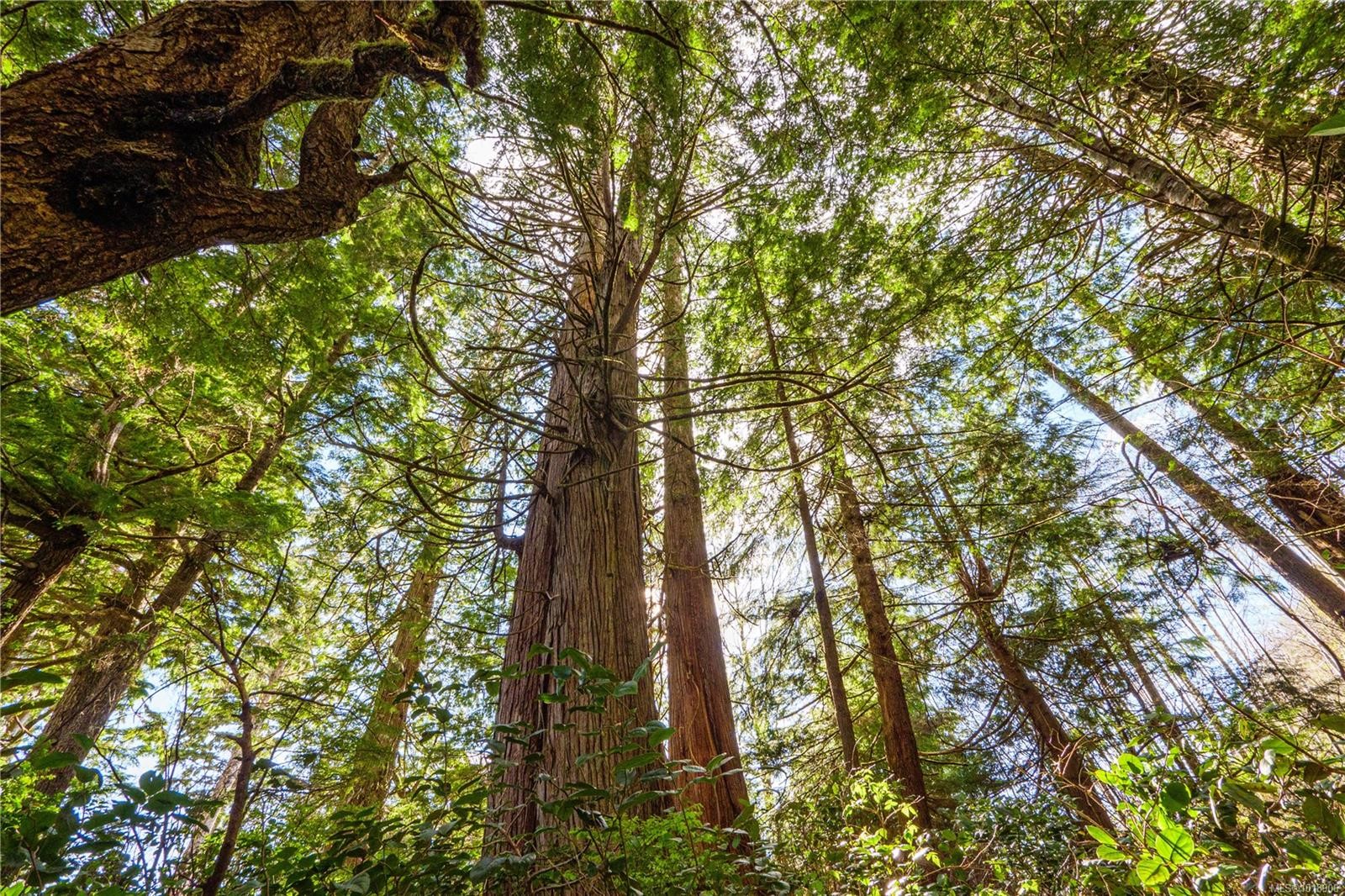 1198 Front St, Ucluelet, BC