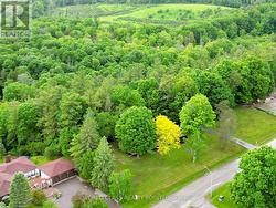 60 KLEINS RIDGE ROAD Vaughan, ON L0J 1C0