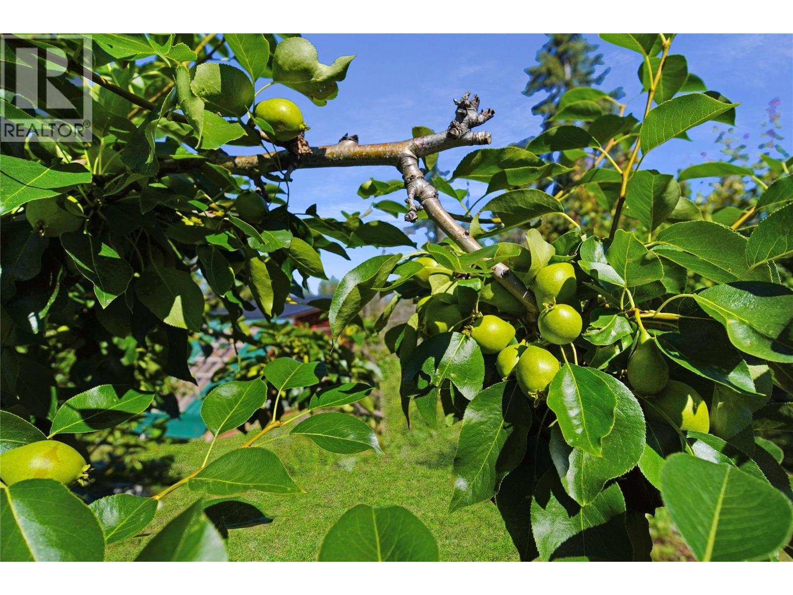 2600 Wycliffe Park Road, Cranbrook, BC - Outdoor