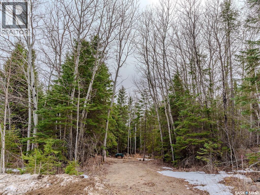 209 Poplar Crescent, Paddockwood Rm No. 520, SK