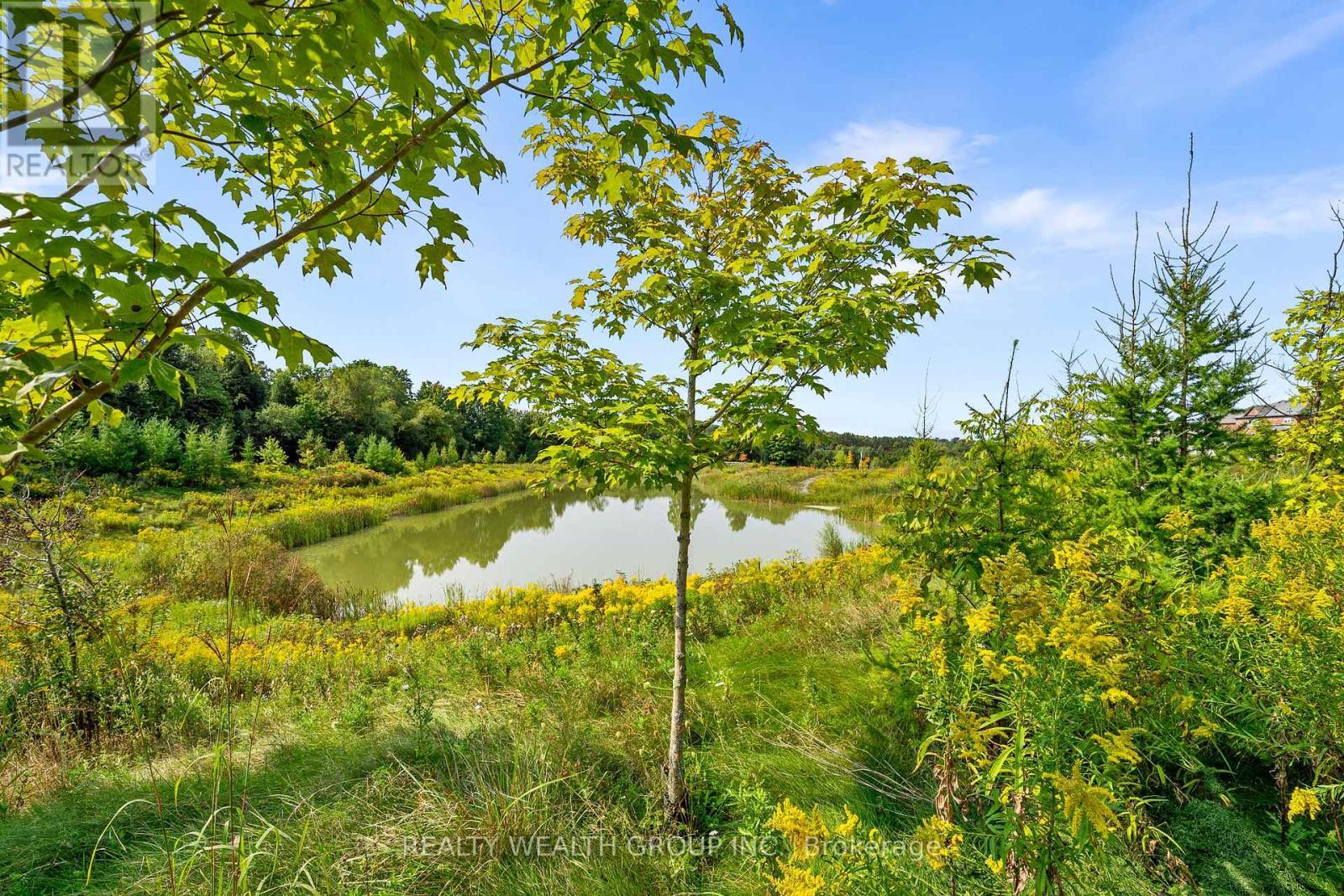 261 Seaview Heights S, East Gwillimbury, ON - Outdoor With View