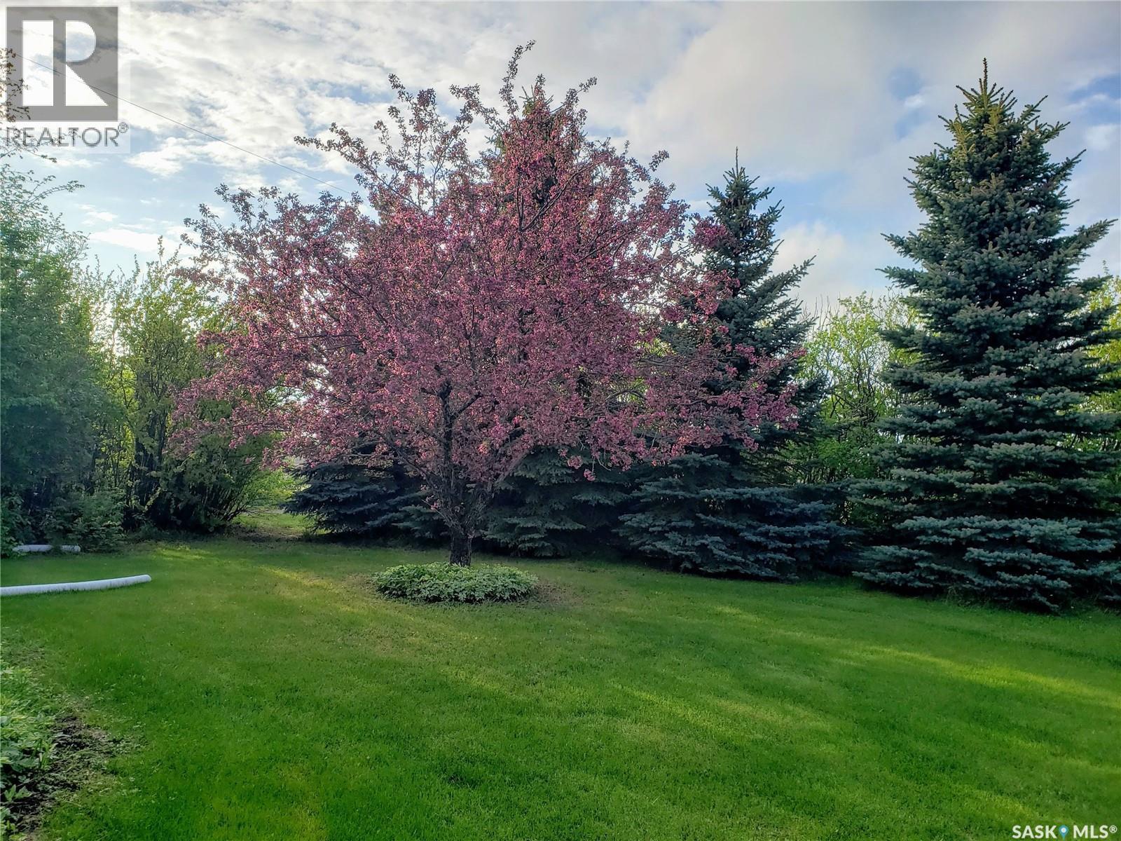 Neufeld Spalding Acreage, Spalding Rm No. 368, SK - Outdoor