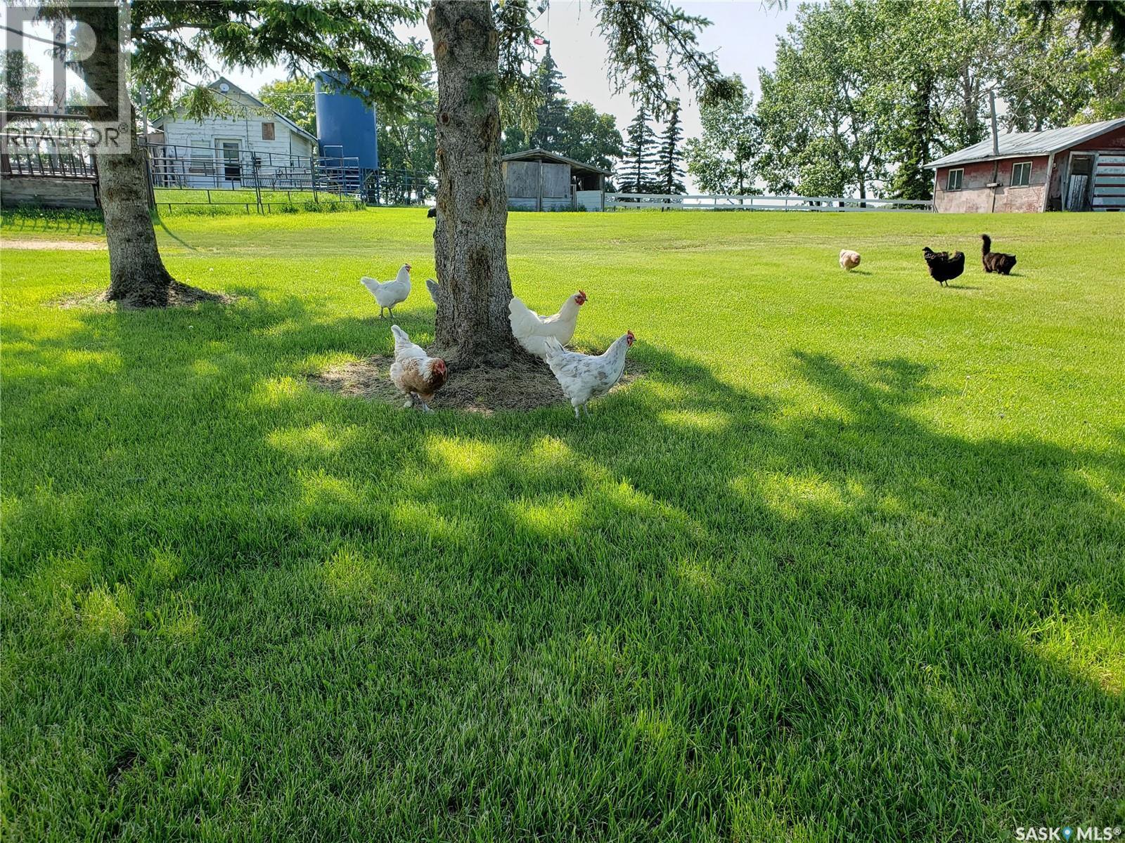 Neufeld Spalding Acreage, Spalding Rm No. 368, SK - Outdoor