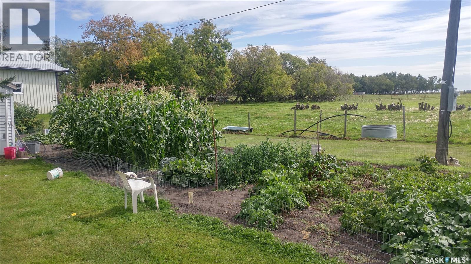 Neufeld Spalding Acreage, Spalding Rm No. 368, SK - Outdoor