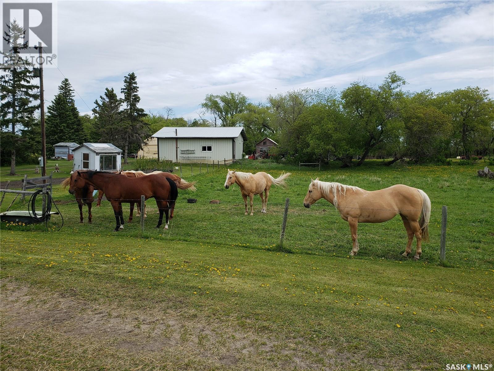 Neufeld Spalding Acreage, Spalding Rm No. 368, SK - Outdoor