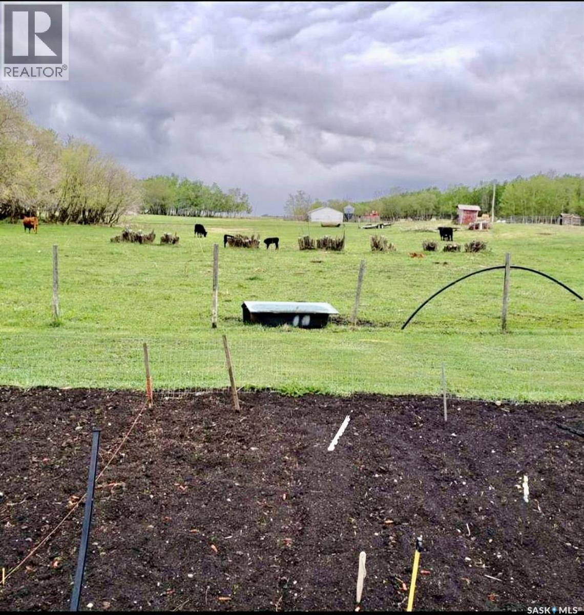 Neufeld Spalding Acreage, Spalding Rm No. 368, SK - Outdoor With View