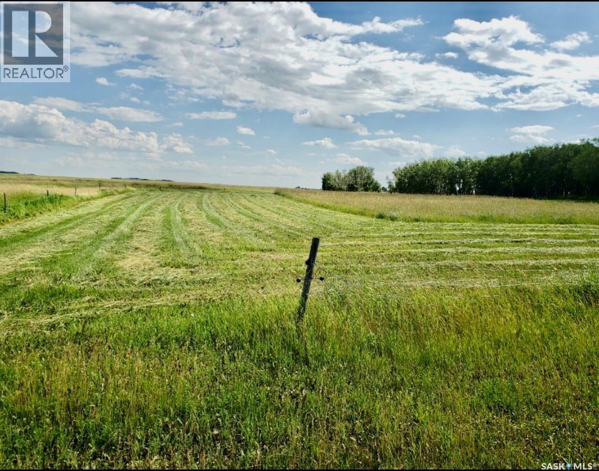 Neufeld Spalding Acreage, Spalding Rm No. 368, SK - Outdoor With View
