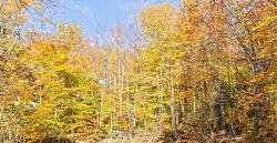 Route de Tewkesbury Stoneham-Et-Tewkesbury, QC G2C 3A7