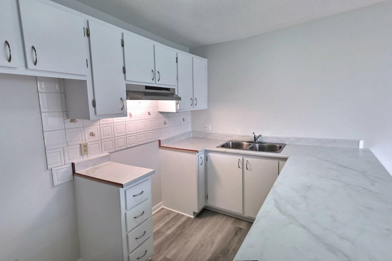 Cuisine - 4-139B Ch. De La Savane, Gatineau (Gatineau), QC - Indoor Photo Showing Kitchen With Double Sink