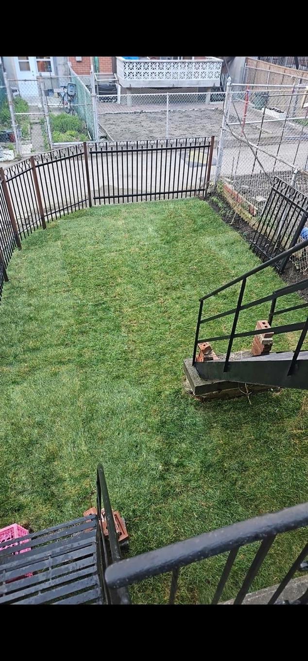 Backyard - 1-7433 Rue Cartier, Montréal (Villeray/Saint-Michel/Parc-Extension), QC - Outdoor