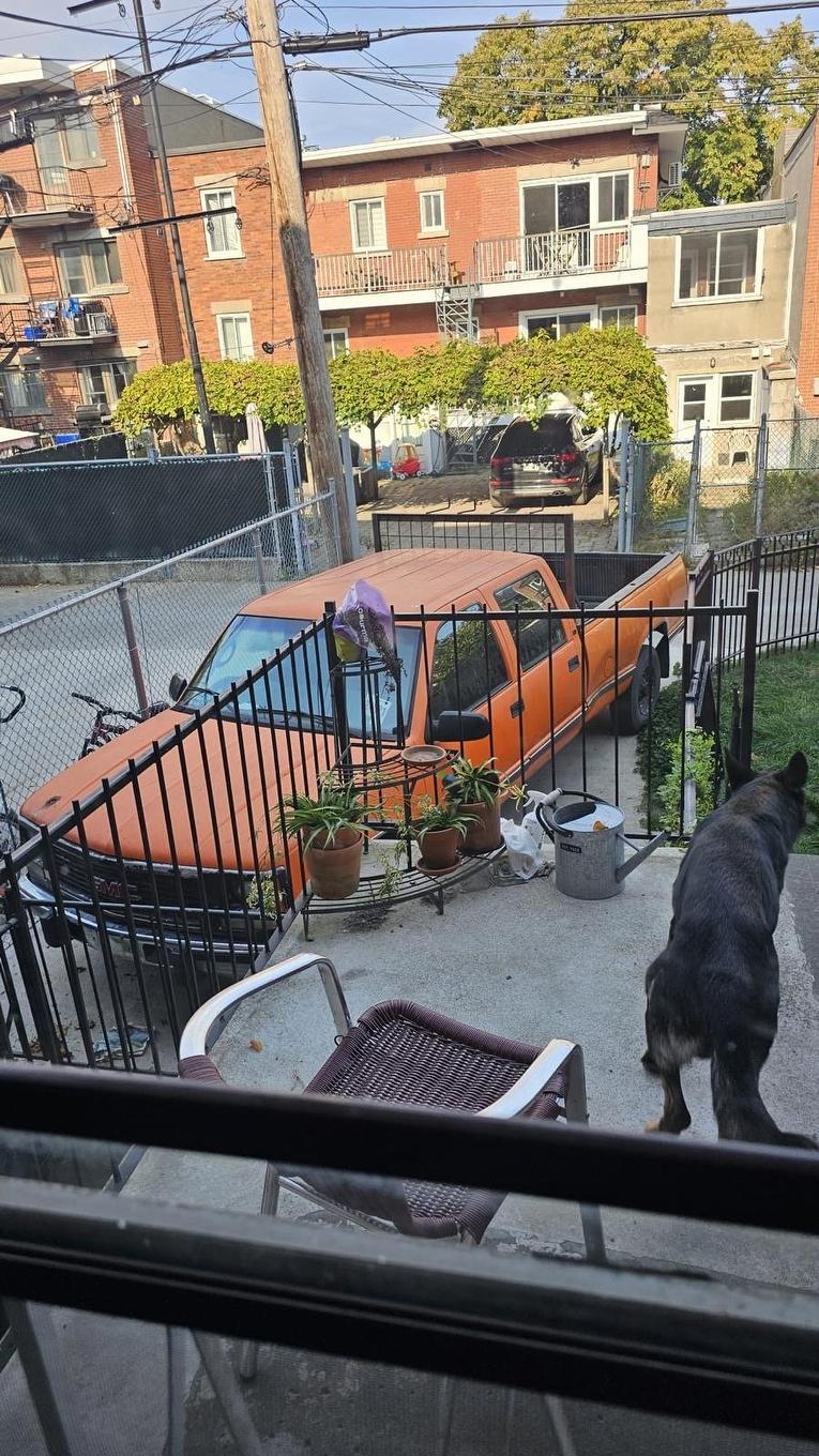 Parking - 1-7433 Rue Cartier, Montréal (Villeray/Saint-Michel/Parc-Extension), QC - Outdoor