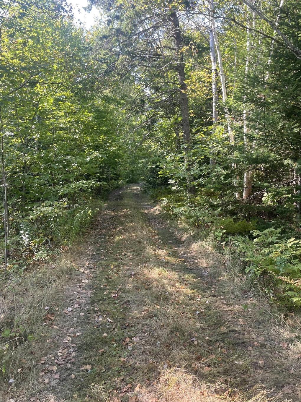 Old Mulgrave Road, Monastery, NS