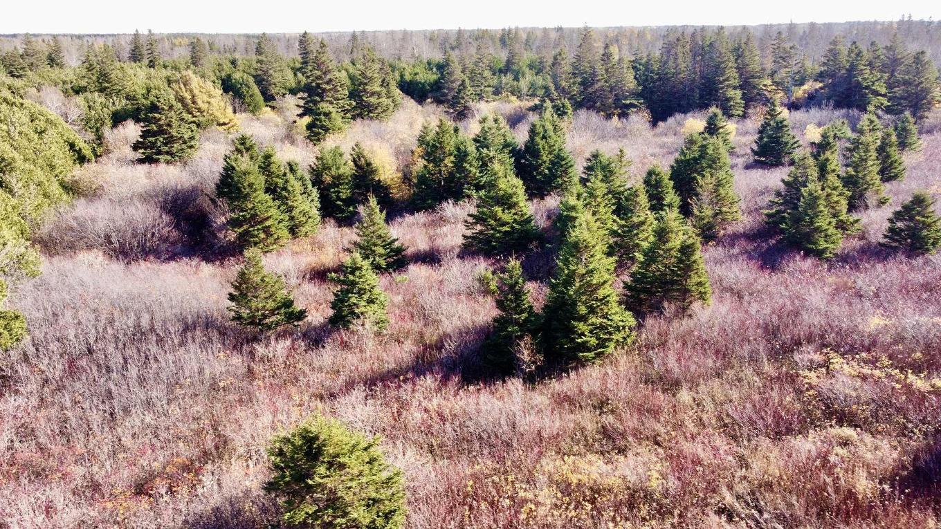 863233 Sea Watch Drive, Miminegash, PE